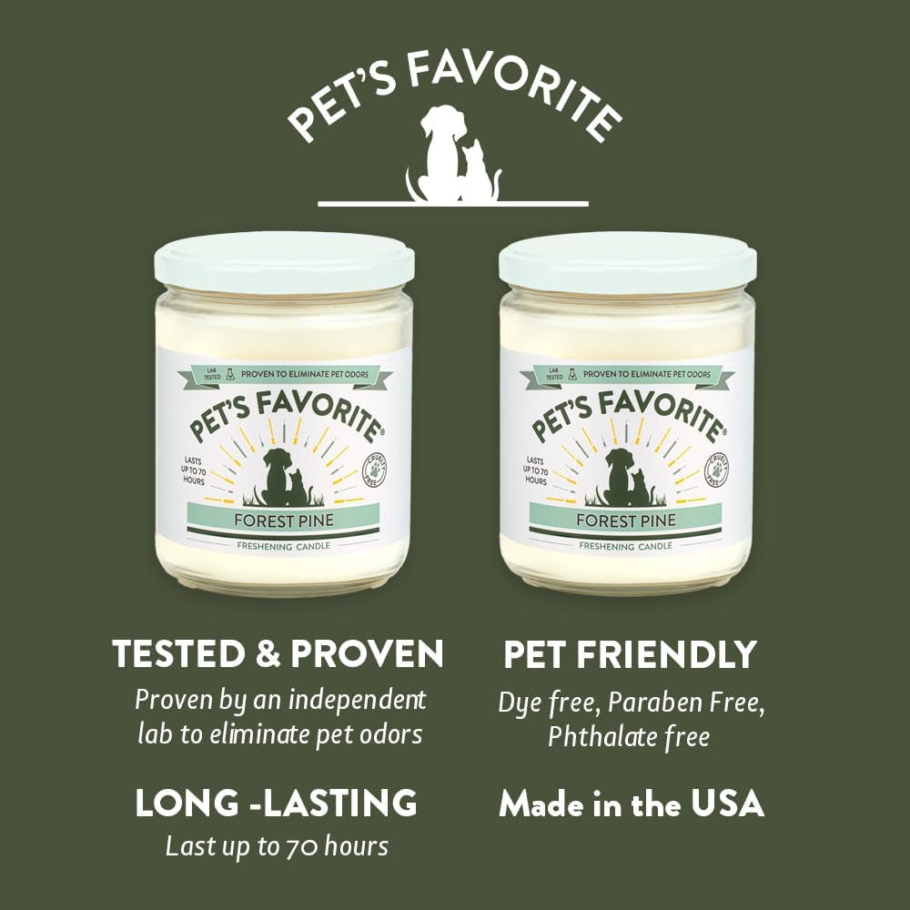 Scented Candles with a Cotton Wick, Clean Burning Pet Candles with a Natural Fiber Wick and 70 Hour Burn Time, Forest Pine Pack of 2